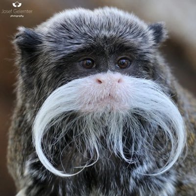 Bnans4Breakfast's profile picture. 🏴 co/per  Certified evil retard. Banner: 𝘚𝘢𝘪𝘯𝘵 𝘛𝘩𝘰𝘮𝘢𝘴, 2020 by Hunter Biden.