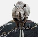 John Derek - @JohnDerek115172 - Twitter