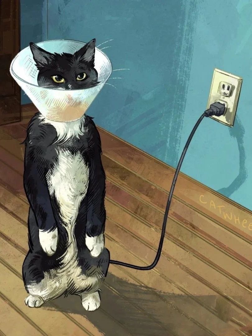 icelinnet59206's profile picture. 