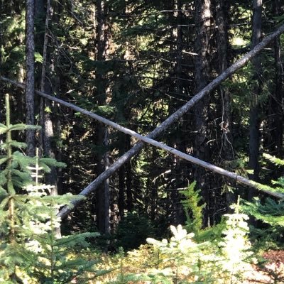 PftraskPhil's profile picture. Born & raised in the country, career in the city(shitty) retired back to the country Conservative, spiritual, loves hunting fishing fixing building Stop woke