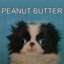 Drew Dutton - @DrewDutton1 - Twitter