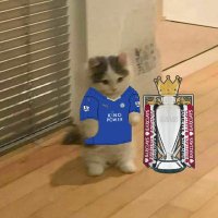 Gatitos y Perritos Con Camisetas De Fútbol Posting (@gpccf) 's Twitter Profile