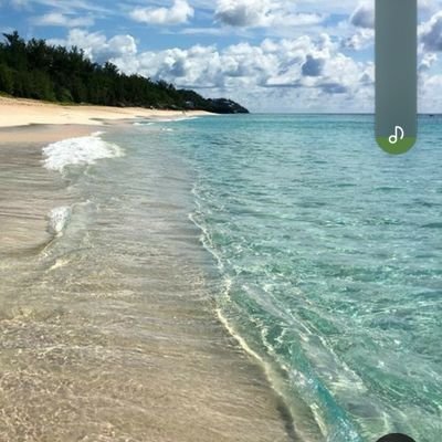 JRuizfarina's profile picture.