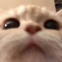 caere ☆彡 (@caeresvt) 's Twitter Profile