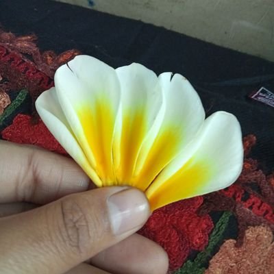 Yesmin5231's profile picture. This is a crypto site x