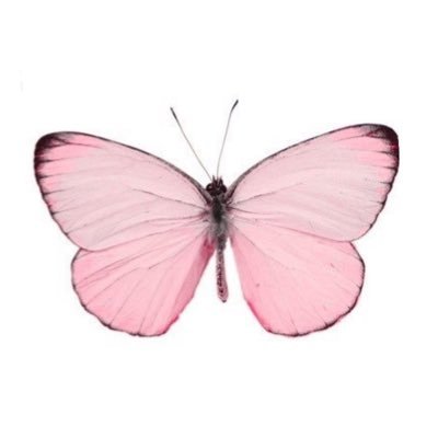 tuuubaben's profile picture. Bağlı olduğum hiçbir grup, cemaat, tarikat, mezhep, oluşum vb yok. Allah’tan başka İLAH/KURTARICI YOK. Rehberim yalnızca Kur’an.