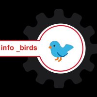 Info_birds🐦(@Info_birds77) 's Twitter Profile Photo