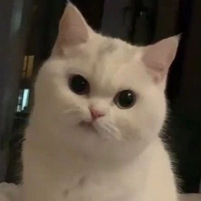 KGaming130323's profile picture. 