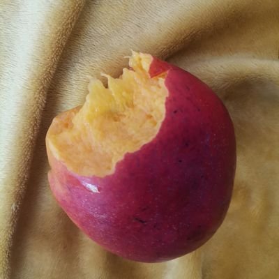 Hapi_Person45's profile picture. 