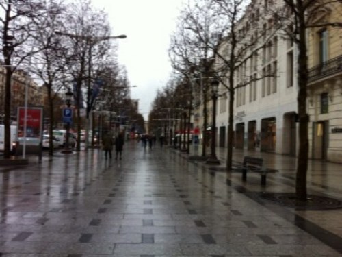 miiyayuui's profile picture. 文化ST科 / ブラック / ZUCCa     好きなことを目一杯したい