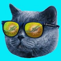 Thomas (@nashmax73) 's Twitter Profile Photo Thomas (@nashmax73) 's Twitter Profile Photo