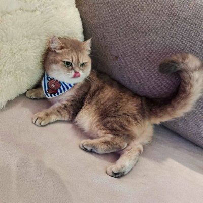 Hailey11210392's profile picture. Key to success: resolute determination and unwavering execution. 🚀 Follow the path of successful individuals and shine bright like a star! 🌟