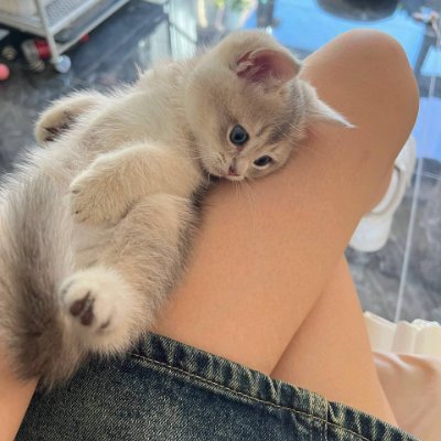 Adult products explorer | Sex doll recommendation | Follow me and discover a new world💋 | No investment questions