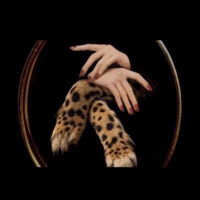 lole3fd's profile picture. مدري ..