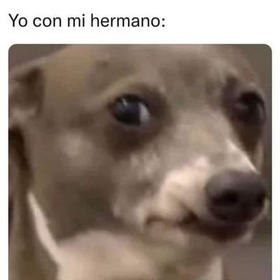 Jhonata74879905's profile picture. 