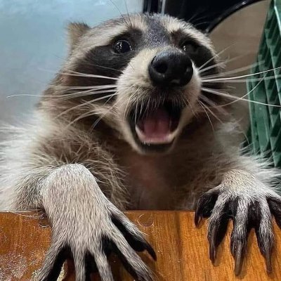 JamesGanzer2's profile picture. I am into niche stuff, politics, international affairs & American military history. I follow the Russo-Ukrainian conflict & support a free, unoccupied Ukraine.