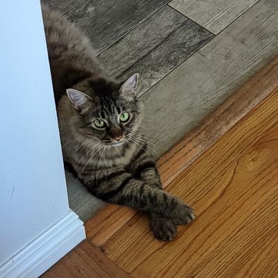 crunchyfella's profile picture. trans (he/they), bi, multiethnic 🇯🇵🇲🇽🇺🇸, and tired
29 yrs

https://t.co/QRJCKA3fcD