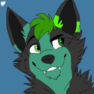 ztm0888264's profile picture. I love inflatables | 18 | furry | TG: Asder Wolf |DM Always open | Instagram: Asder._.wolf