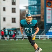 nickforresterDL (@nickfozza) 's Twitter Profile