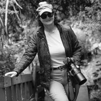 Monica Carrasco (@monicacarra) 's Twitter Profile Photo Monica Carrasco (@monicacarra) 's Twitter Profile Photo