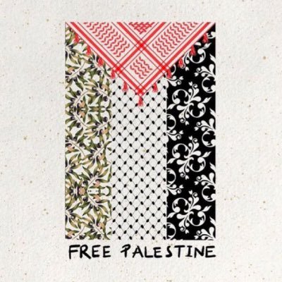 totheottoman's profile picture. 