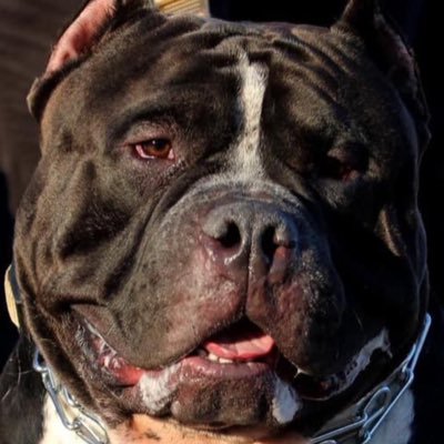 My92Fiv3's profile picture. 5amEEXbtaXZ69st9uyYC3S9V9K22BMYswesHWEsrpump