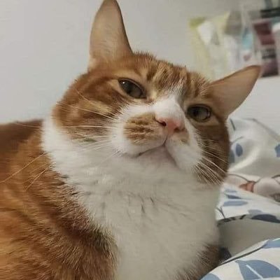 AkiraKatai's profile picture. 