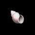 Shell Betting (@bettingshell) Twitter profile photo Shell Betting (@bettingshell) Twitter profile photo