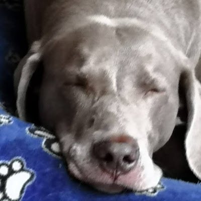 ROCKO000007's profile picture. 