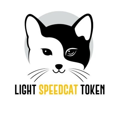 Dive into the future with Light Speed Cat Token! 🐱💫 Join our thrilling crypto-gaming journey. Connect on Telegram: https://t.co/aUj401QlNe #LSCat #CryptoGam