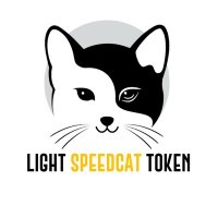 Light Speed Cat - LSCat (@lscattoken) 's Twitter Profile