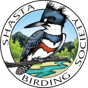 The mission of the Shasta Birding Society is to conserve and restore natural ecosystems, focusing on birds, other wildlife, and their habitats
