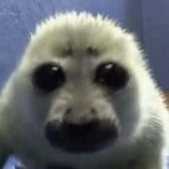 Karabog32135938's profile picture. 