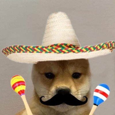 Si, I'm a meme token, but in my corazón, I'm a fiesta king!

https://t.co/TbJ15LjtqF

contract: FWzydZ3uwstsvjVSqgzbz7WT2PKDf2Ax4h5MD3s4ukzE