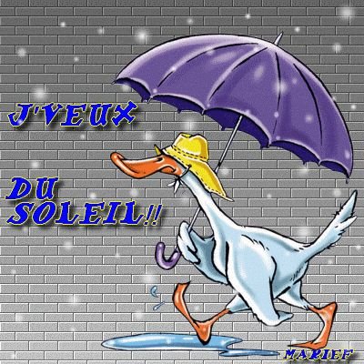 le Chouan, Vendéen qui emmerde MACRON Profile