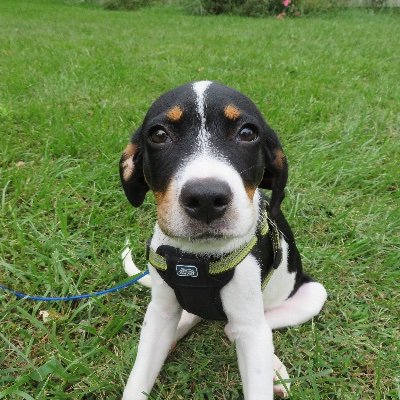 Designfreak225's profile picture. 
