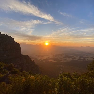 🍇 🍊 🍑 Landbou ✝️🇿🇦