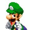 daily_luigi Profile Picture