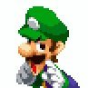 Daily Luigi(@daily_luigi) 's Twitter Profile Photo