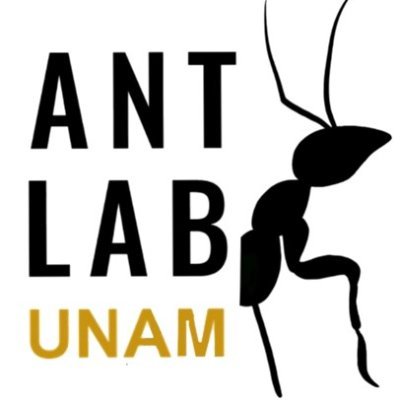 Ant Lab UNAM / Laboratorio de Hormigas UNAM Instituto de Investigaciones Biomédicas @biomedicasunam 🇲🇽🐜