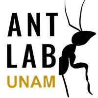 Ant Lab UNAM (@antlabunam) 's Twitter Profile Photo Ant Lab UNAM (@antlabunam) 's Twitter Profile Photo