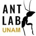 Ant Lab UNAM (@AntLabUNAM) Twitter profile photo