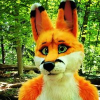 Loony Doonz(@DoonTheFox) 's Twitter Profile Photo