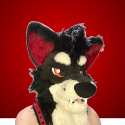 ⬙ NSFW ⦚ AD account of Rocky Wolf/Pup ⦚ vers- switch and all around dumb doggo ⦚ Partnered (Open) ⦚ DMs are open but slow reply ⦚ Denver CO is home ⬙