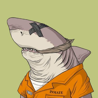 sharkey_sol Profile Picture