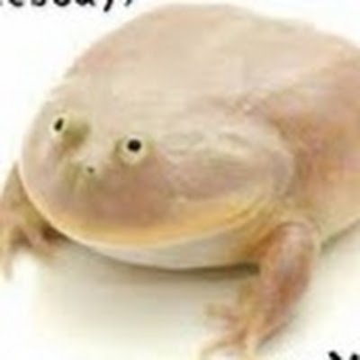 TriangularAngle's profile picture. 