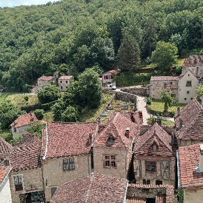 Veterinari55261's profile picture. 