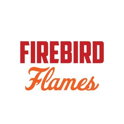 Official Instagram of the Firebird Flames Dance Team! @firebirdsafl @OfficialAFL