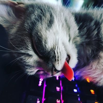 creativeflow88's profile picture. 