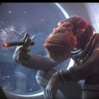 euphoric.ent (@euphoric_e) 's Twitter Profile